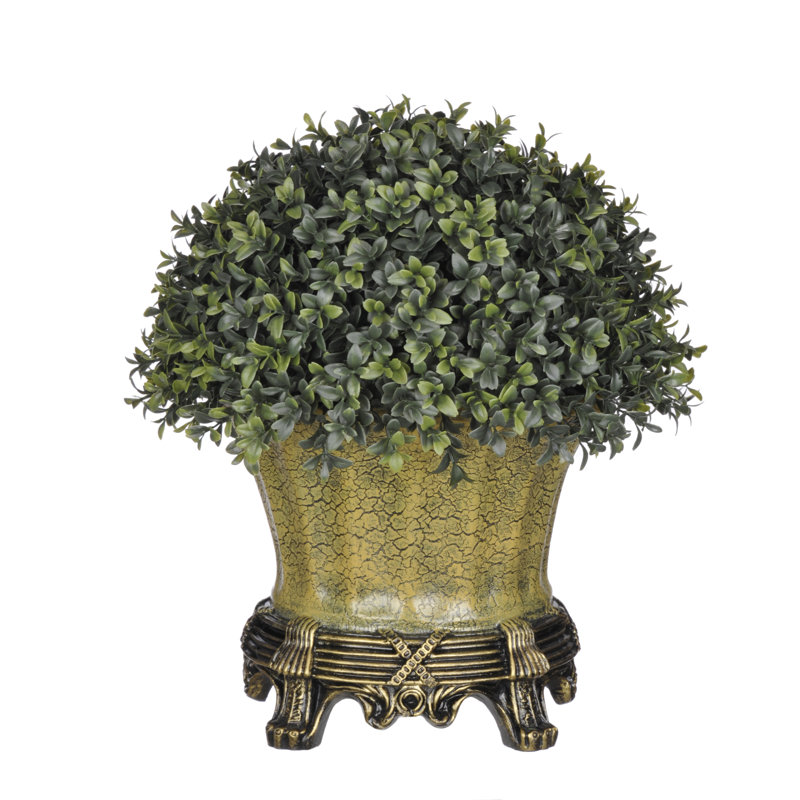 House of Silk Flowers Artificial Boxwood HalfBall Topiary in Urn Wayfair